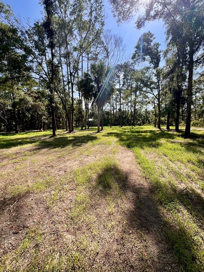 0 Ne Webb Ln, Home with 0 bedrooms, 0 bathrooms and null parking in Steinhatchee FL | Image 13