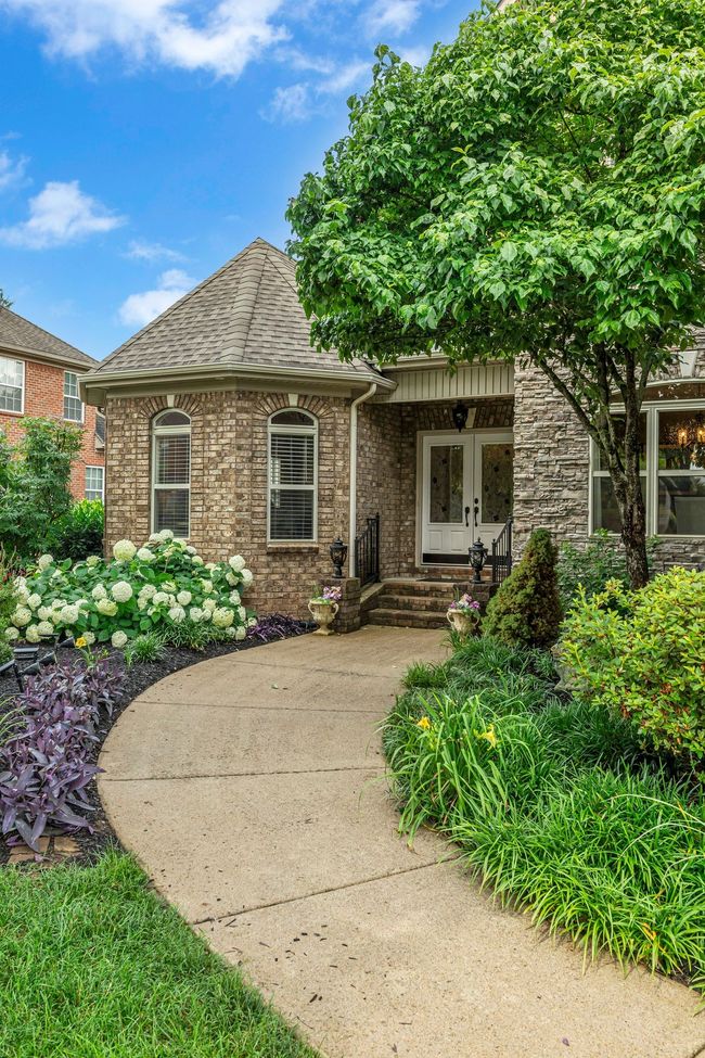 A walkway surrounded by beautiful shrubs. | Image 6