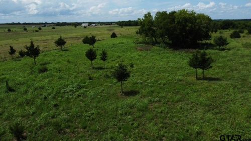 1146 County Road 2175, Klondike, TX, 75448 | Card Image