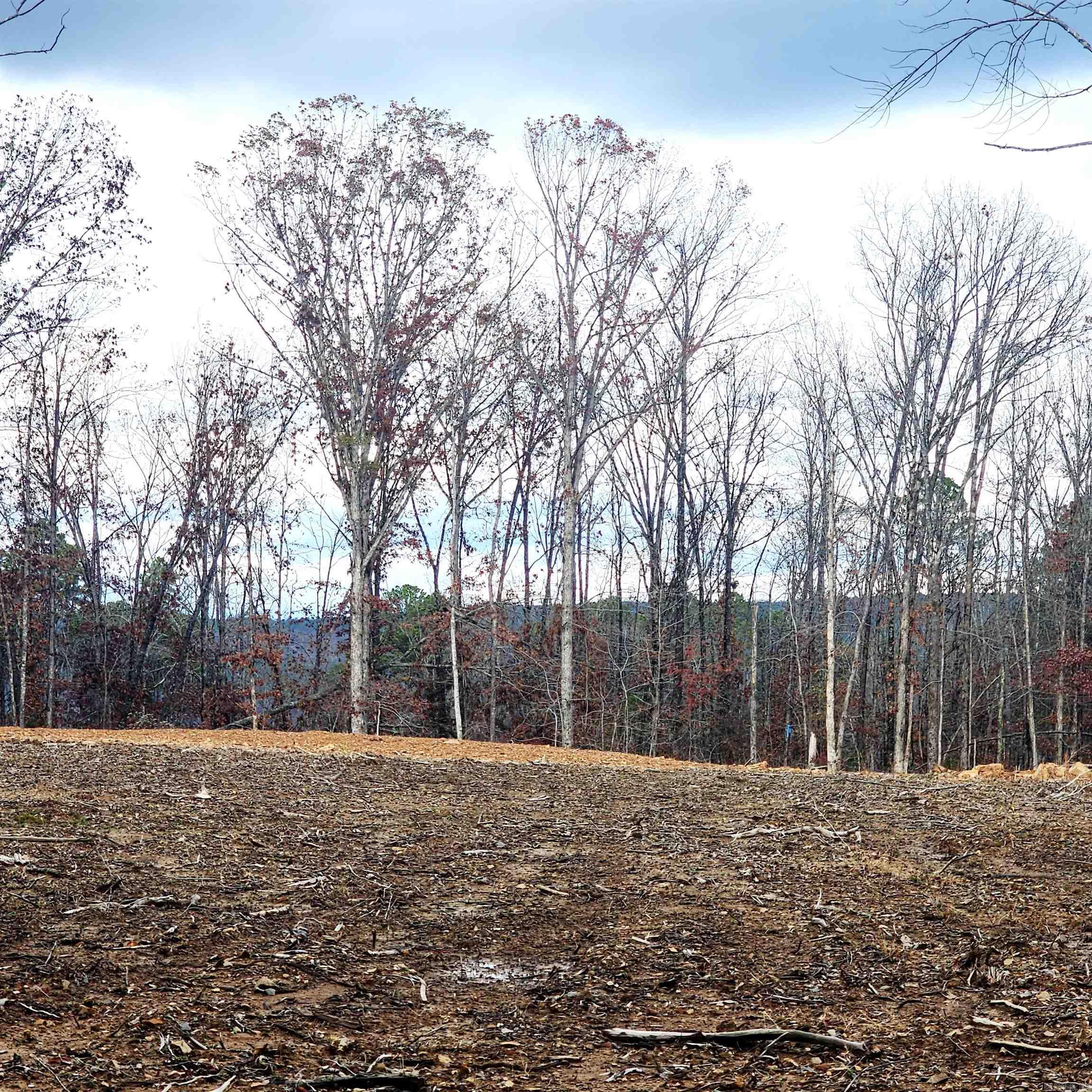 Land in Edgemont 5