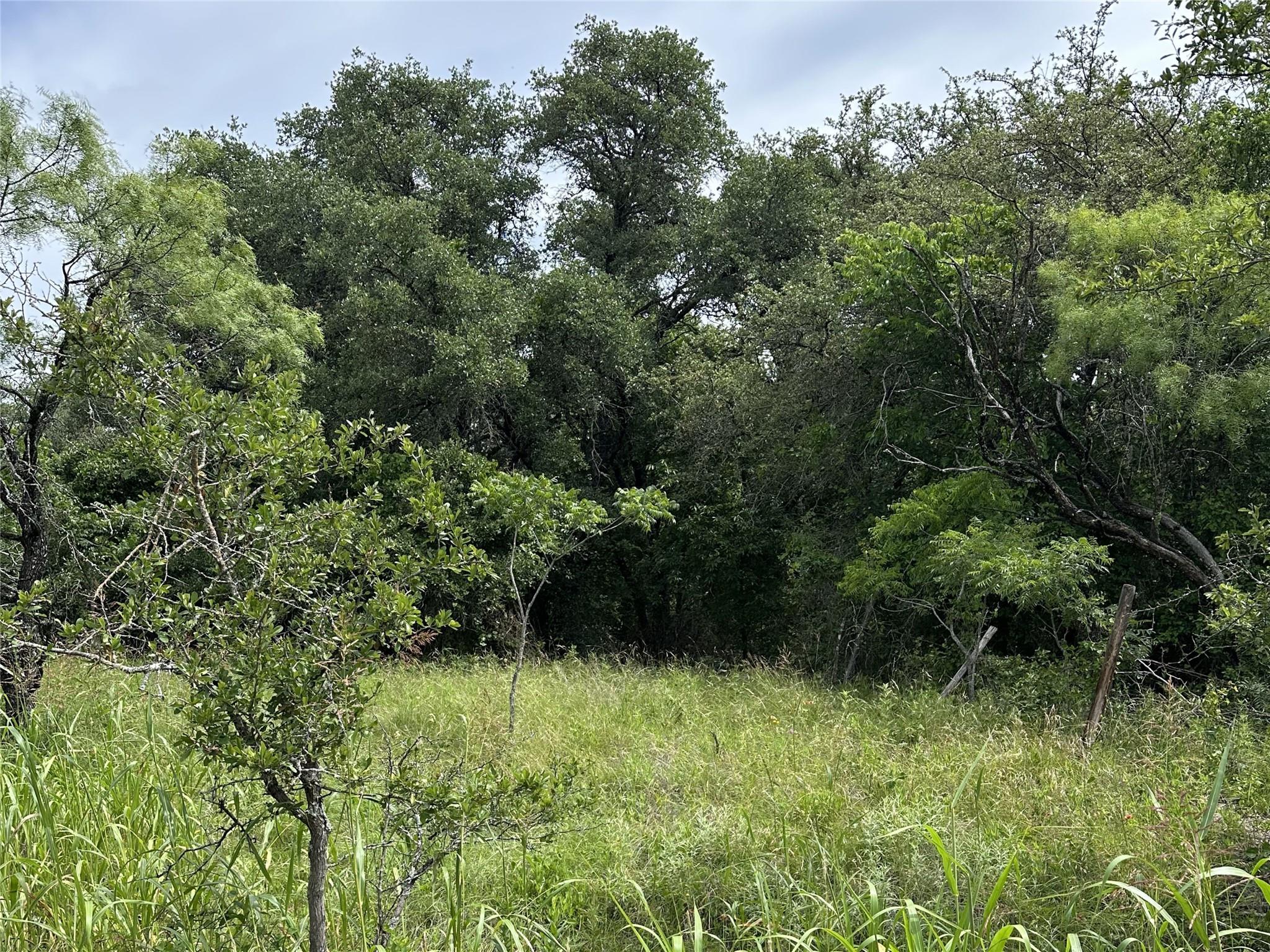 Farm in Blanket 2