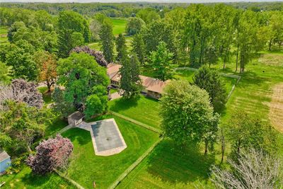 Beautiful 9-acre lot | Image 2