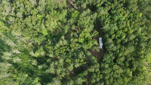 4426 Sunfish Rd, Holyoke, MN, 55749-4026 | Card Image