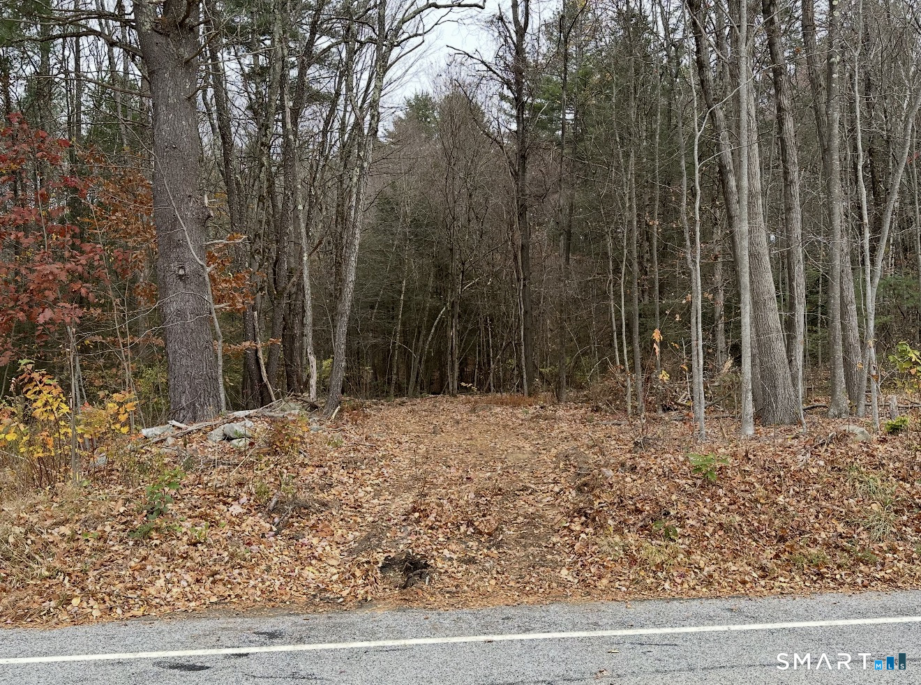 Land in Hartland 2