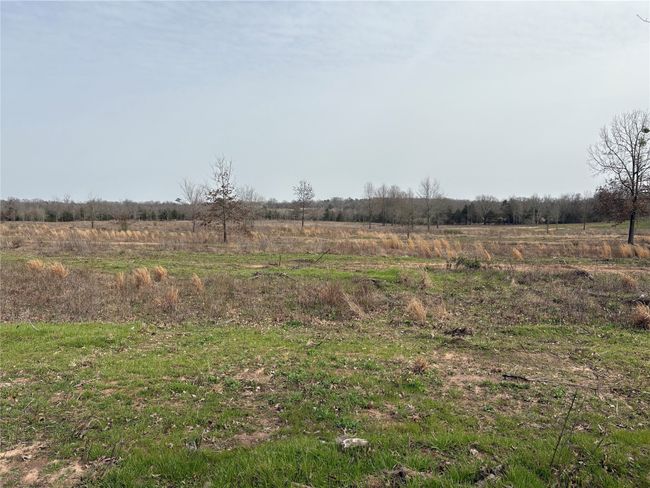 TRACT-2 - TBD County Road 2425, Home with 0 bedrooms, 0 bathrooms and null parking in Como TX | Image 12