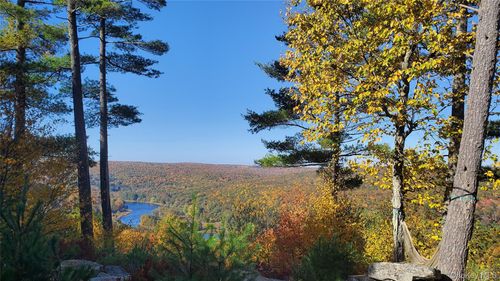 1 Eagle View Rd, Narrowsburg, NY, 12764-4255 | Card Image