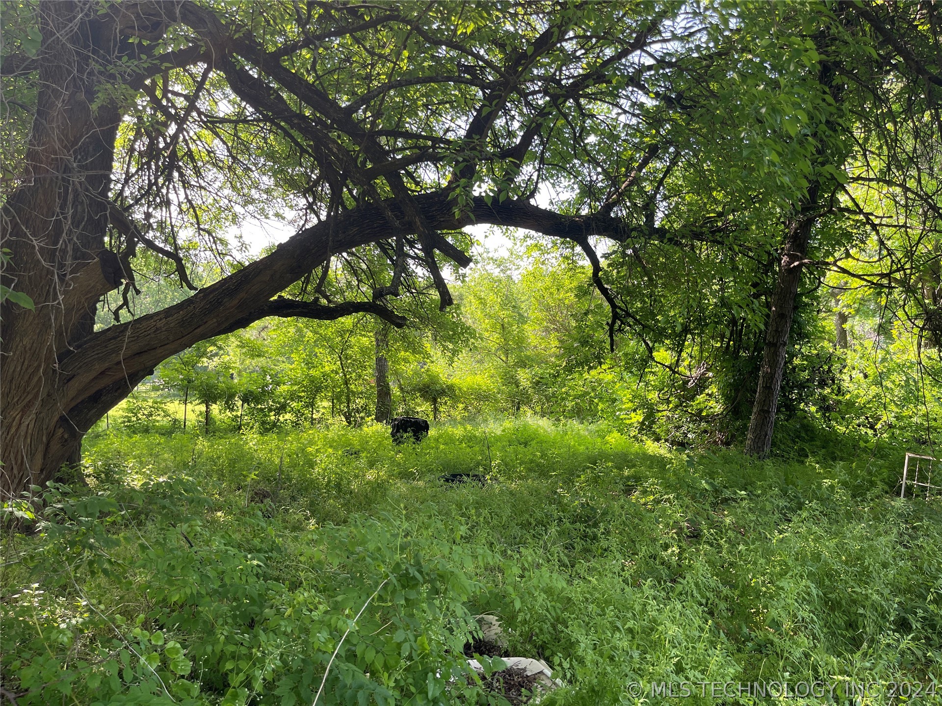 Ivy Ln, Ardmore, OK 73401