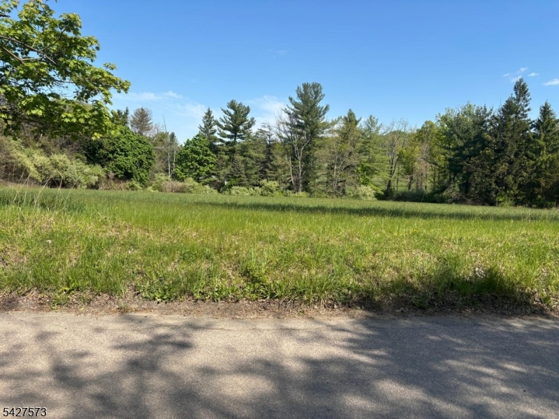 Residential in Readington Twp. 3