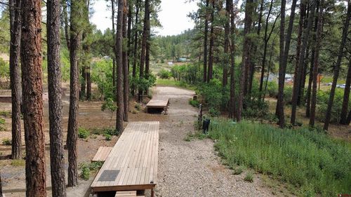 996 & 1032 Raccoon Drive, Pagosa Springs, CO, 81147 | Card Image