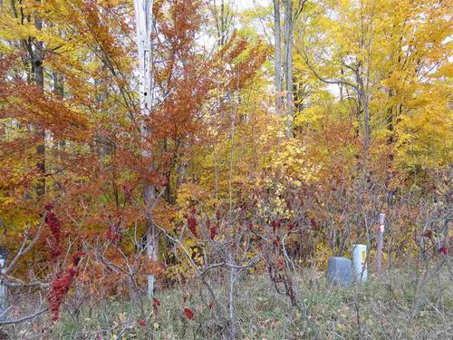 Lot 81 Eden St, Kingsley, MI, 49649 | Card Image