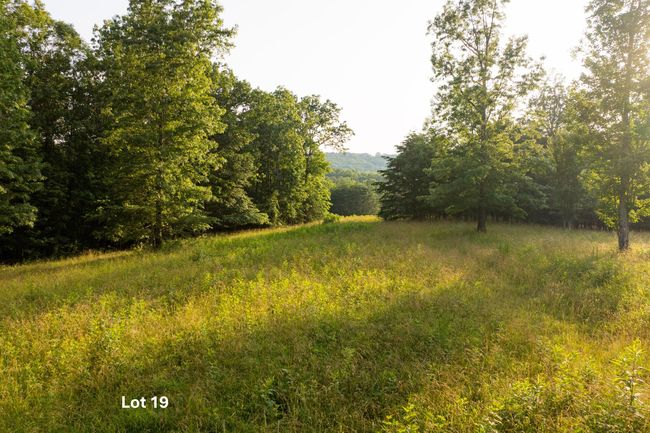 0 Long Branch Rd, Home with 0 bedrooms, 0 bathrooms and null parking in Rising Fawn GA | Image 12
