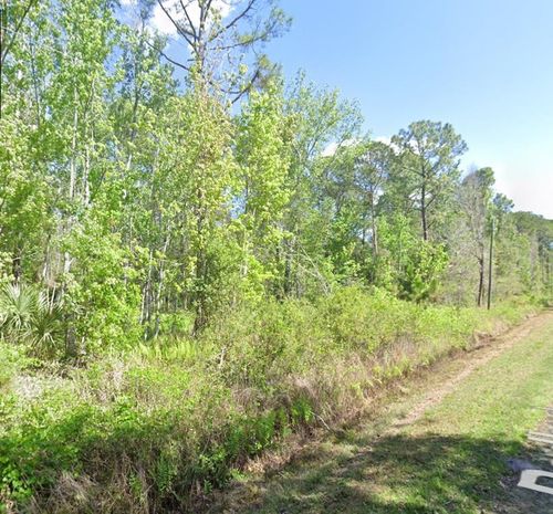210 Redwood Blvd, Georgetown, FL, 32139 | Card Image
