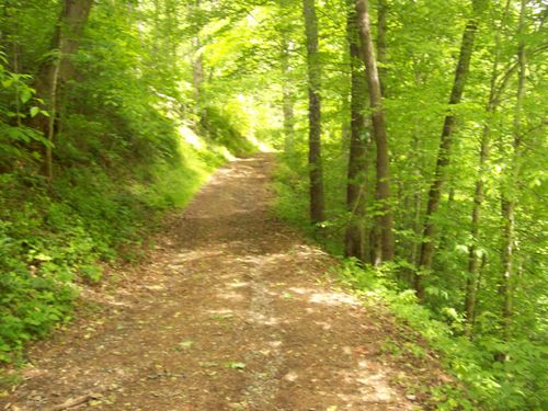 0 Davis Hollow/Dark Hollow Road, Sneedville, TN, 37869 | Card Image