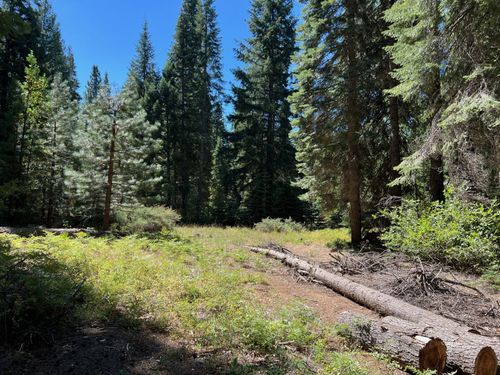 220 Wildwood Ranch Rd, Wildwood, CA, 96076 | Card Image