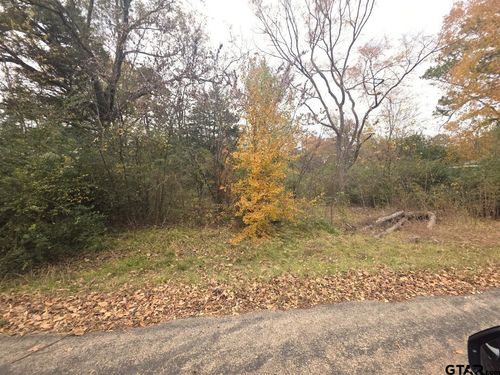 15980 San Augustine Dr, Tyler, TX, 75704-7032 | Card Image