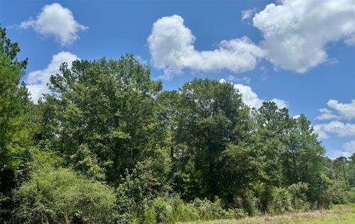 TBD Riverstone, Livingston, TX, 77351 | Card Image