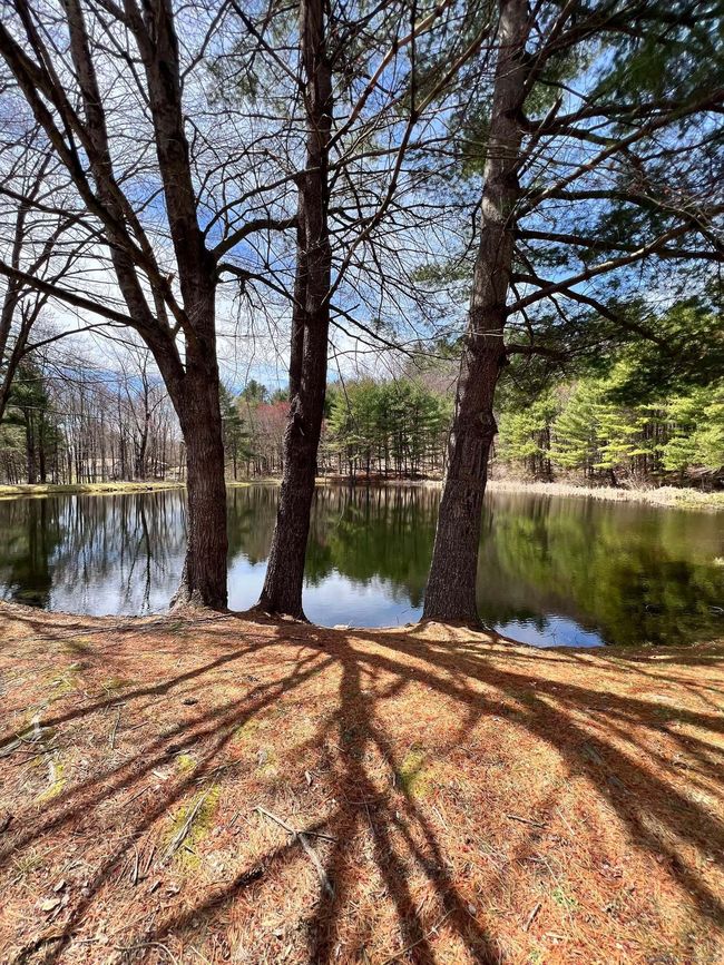 UNIT-42 - 25 Route 197, Home with 2 bedrooms, 1 bathrooms and 2 parking in Woodstock CT | Image 31
