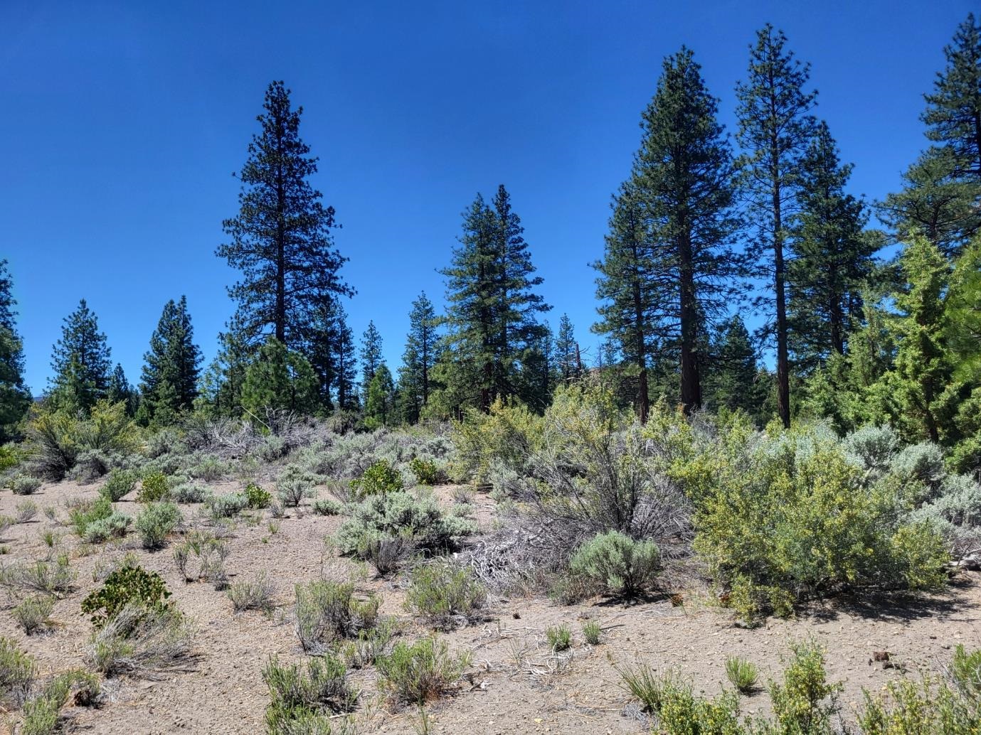 Land in Montague 3