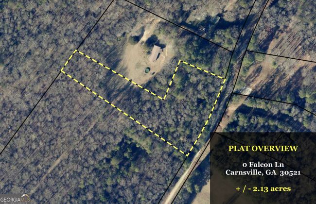 0 Falcon Ln, Home with 0 bedrooms, 0 bathrooms and null parking in Carnesville GA | Image 11