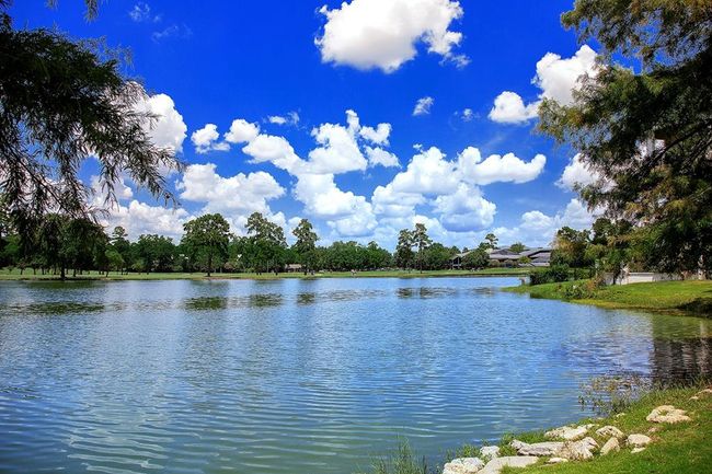 2 Black Cormorant Pl, House other with 3 bedrooms, 4 bathrooms and 2 parking in Spring TX | Image 45