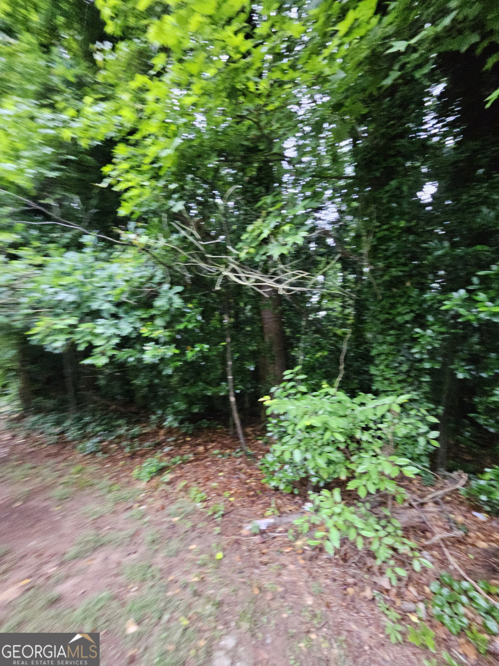 Land in Decatur 3