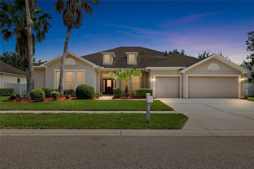 11845 Newberry Grove Loop, RIVERVIEW, FL, 33579-3917 | Card Image