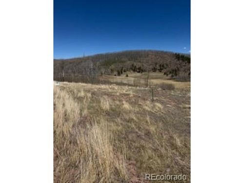 1648 Cary Ln, Fort Garland, CO, 81133-9753 | Card Image