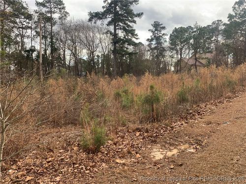 0 Brookridge Dr, Cameron, NC, 28326 | Card Image