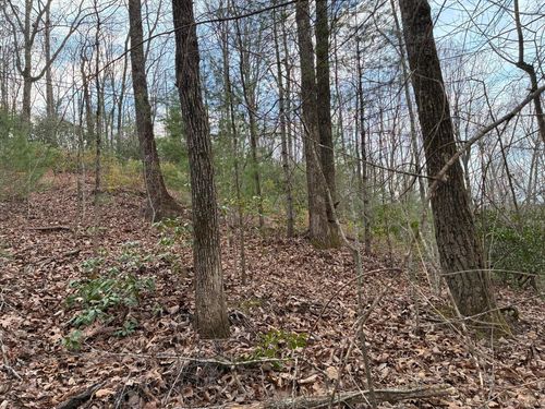 00 Chestnut Mountain Rd, Reliance, TN, 37369 | Card Image