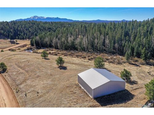 169 Saddleback Creek Dr, Florissant, CO, 80816-7040 | Card Image