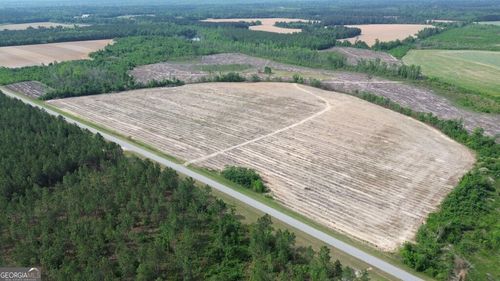 tract-3-0 Bunn Store Road, Midville, GA, 30441 | Card Image