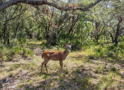 1 Catamount Rd, LABELLE, FL, 33935 | Card Image