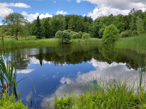 10269 Evans Rd, Remsen, NY, 13438-3910 | Card Image