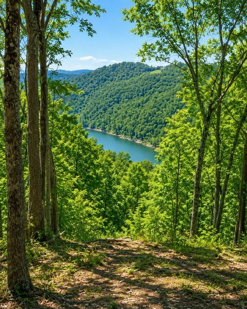 10 AC Jimmy Reneau Rd, Celina, TN, 38551 | Card Image