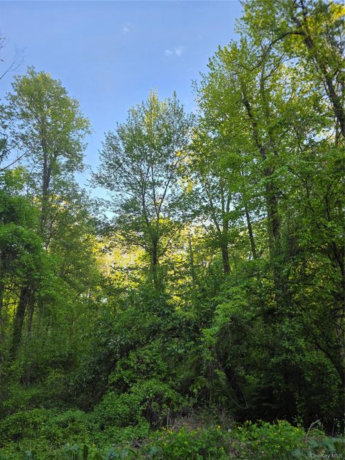 122 Archer Rd, Mahopac, NY, 10541-1913 | Card Image