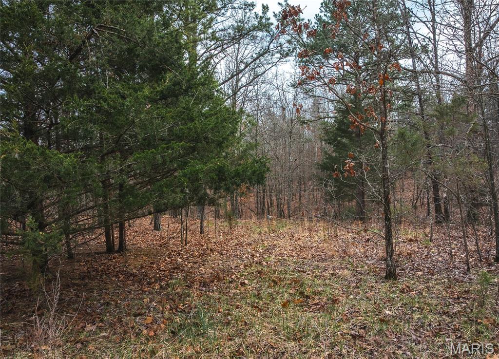 Land in Raymondville 5