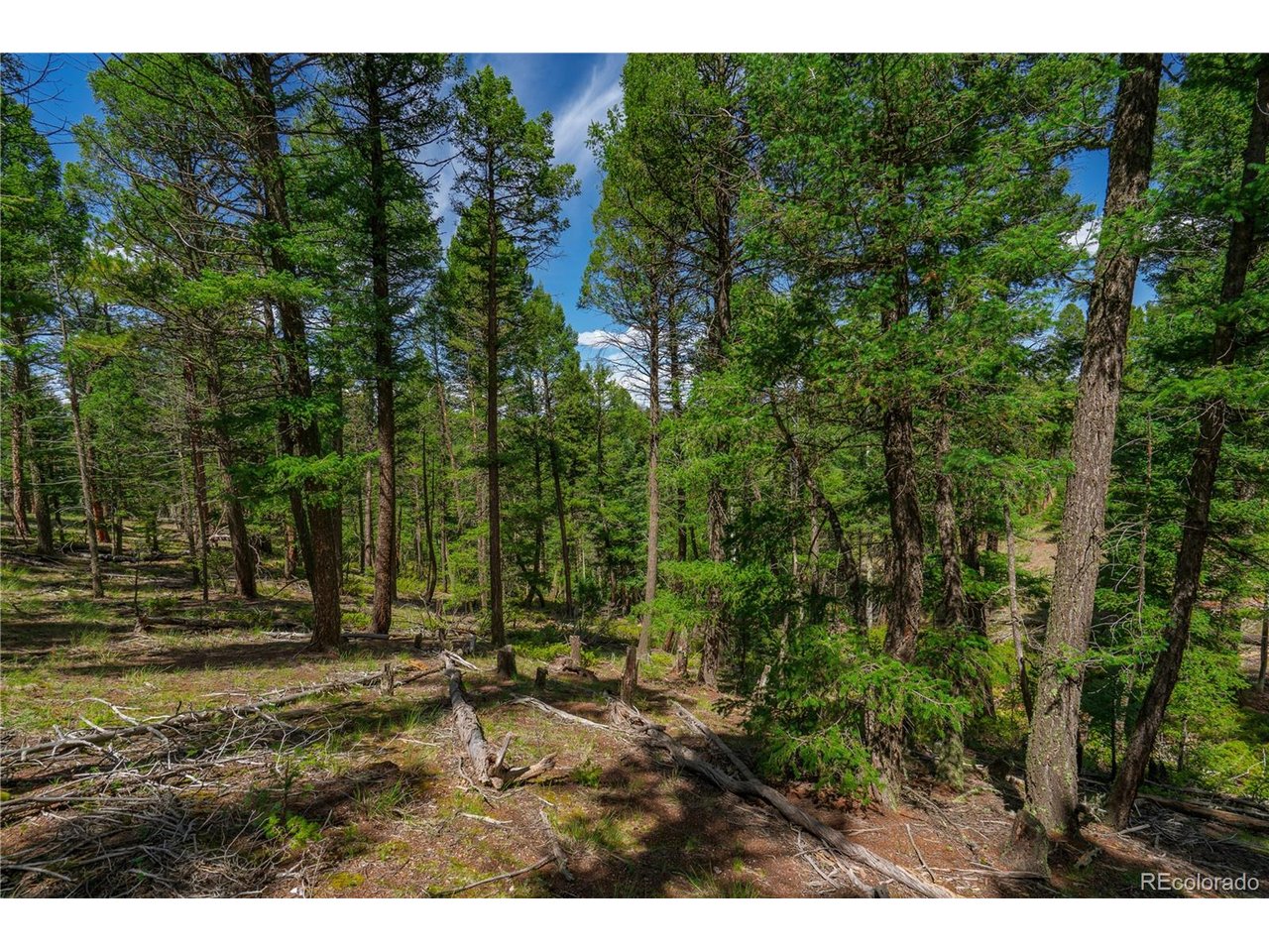 Land in Florissant 2