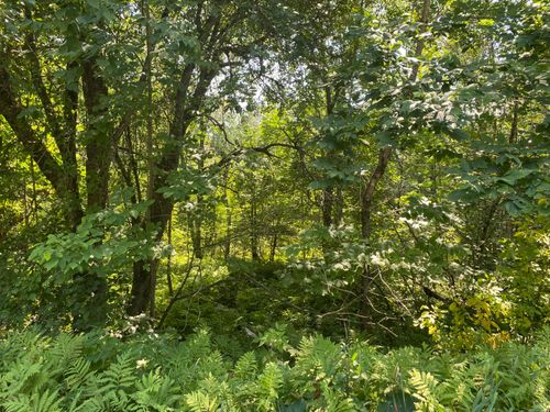 125 Taylor Road, Athens, ME, 04912 | Card Image