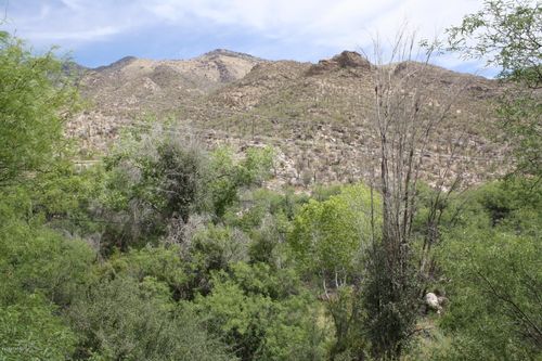 23201-6655 N Canyon Crest Dr, Tucson, AZ, 85750-0938 | Card Image