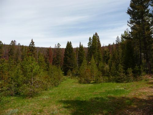 263 Wild Hill Ln, Lincoln, MT, 59639-8681 | Card Image