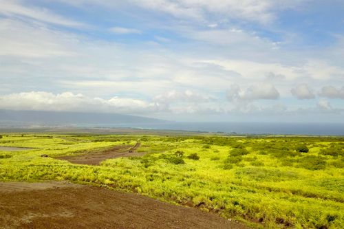 lot-36-189 Hokupa St, Makawao, HI, 96768-9793 | Card Image