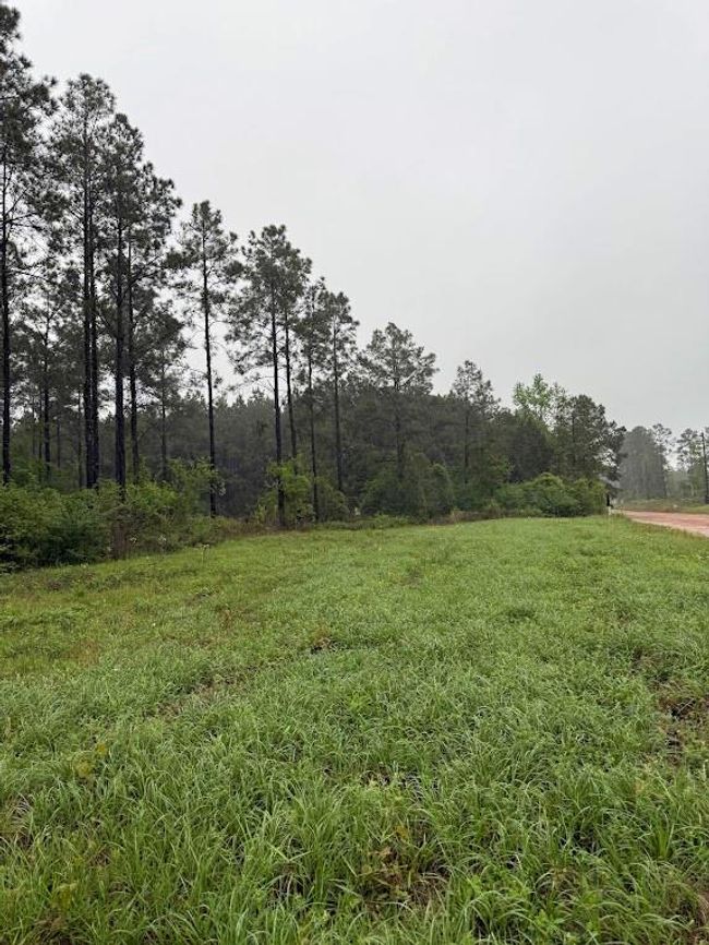 0 Richardson Rd E, Home with 0 bedrooms, 0 bathrooms and null parking in Livingston TX | Image 14