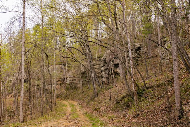 9999 Highway 52 E, Home with 0 bedrooms, 0 bathrooms and null parking in Beattyville KY | Image 18