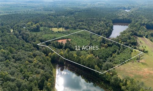 00 Shelton Rd, Greensboro, AL, 36744 | Card Image