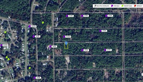 107 Helen Ave, Georgetown, FL, 32139 | Card Image