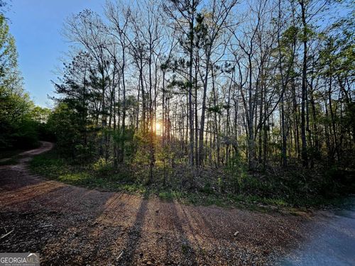 0 N Point Dr, Wedowee, AL, 36278 | Card Image