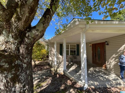 10045 County Road 121, Valley Head, AL, 35989-3321 | Card Image