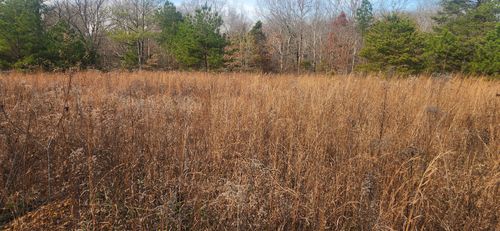 0 Nine Mile Ridge Rd, Duck River, TN, 38454 | Card Image