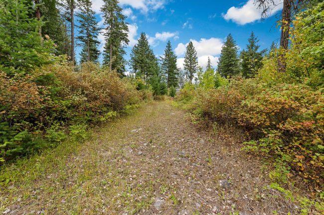 157 Pinto Trl, Home with 0 bedrooms, 0 bathrooms and null parking in Bigfork MT | Image 44