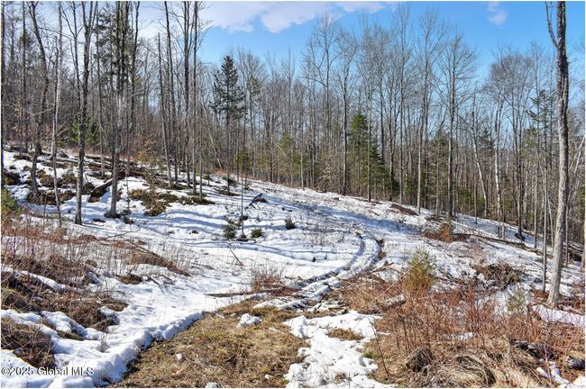 48 Durkin Rd, Home with 0 bedrooms, 0 bathrooms and null parking in North Creek NY | Image 35